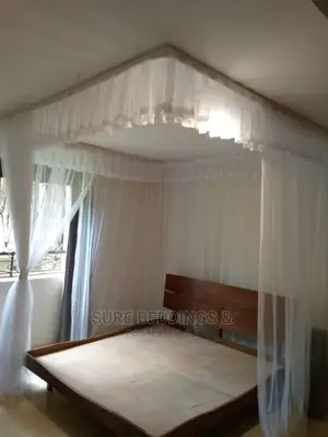Customised Ceiling Net