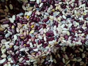 Mixed Beans