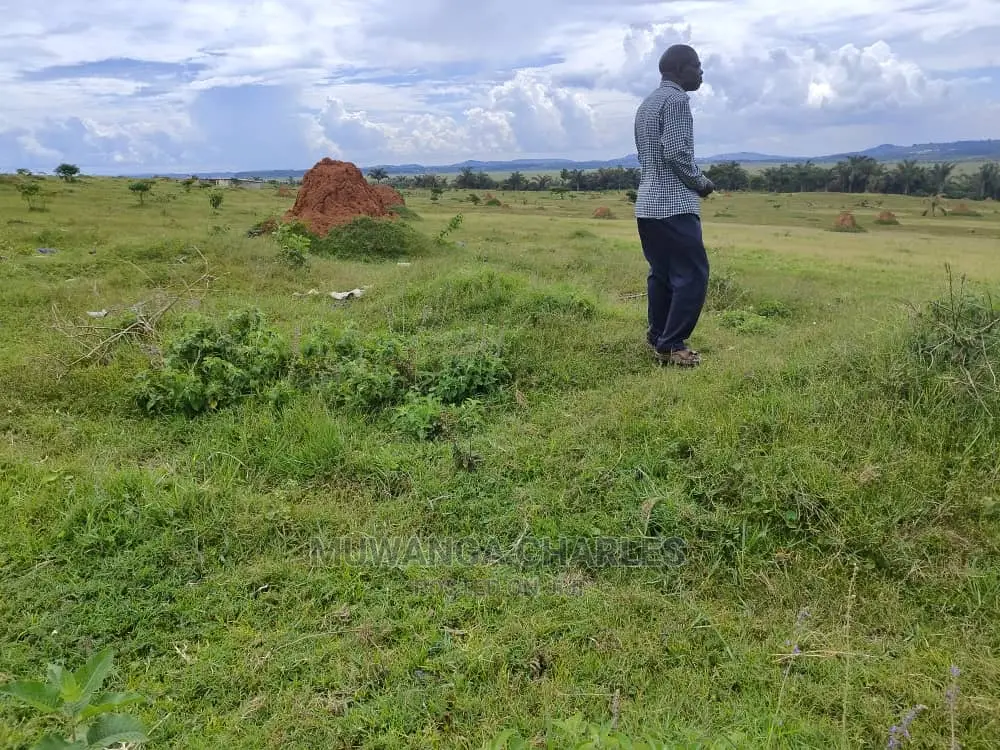 Plots in Gayaza Nakwero for Sale