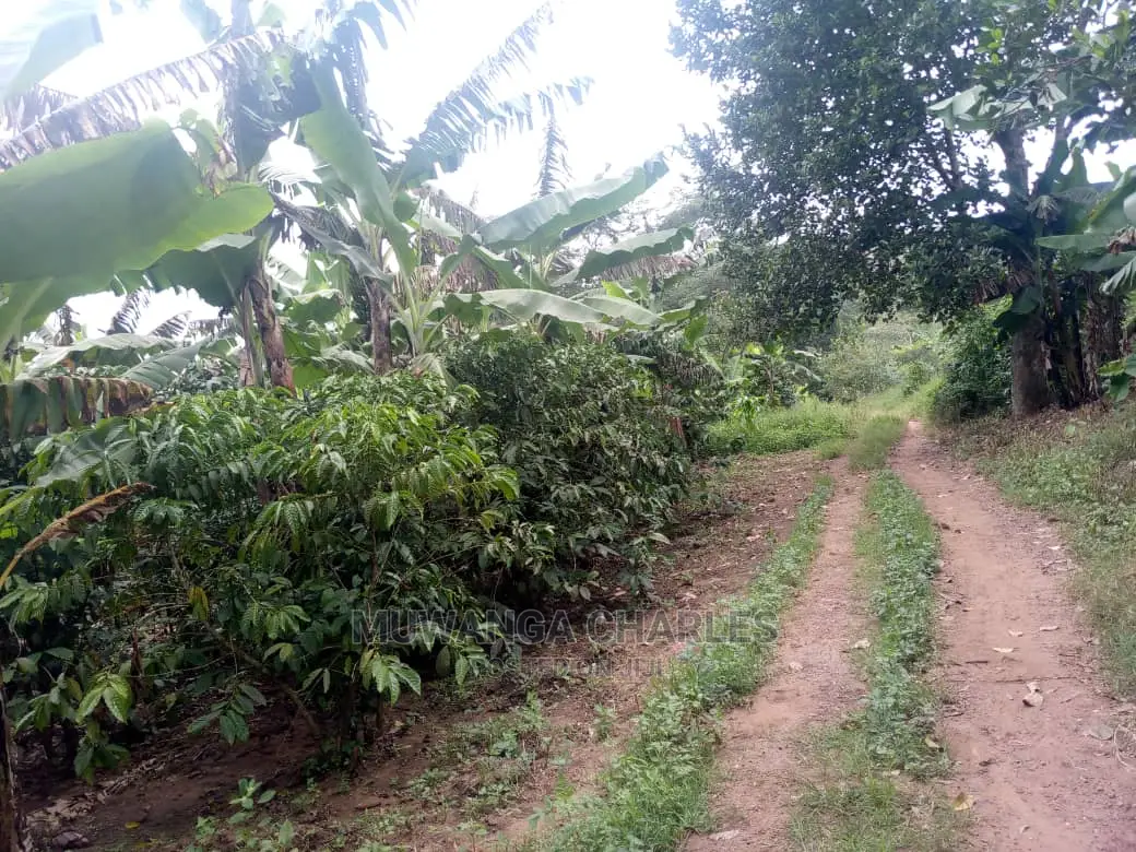 Land in Zirobwe for Sale