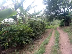 Land in Zirobwe for Sale