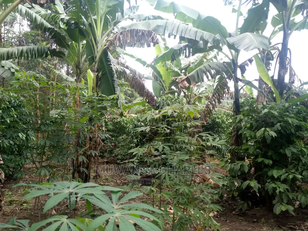 Land in Zirobwe for Sale