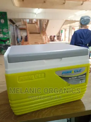Pinnacle 4.5 Litre Cooler Box