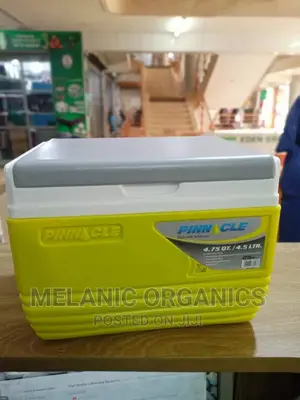 Pinnacle 4.5 Litre Cooler Box