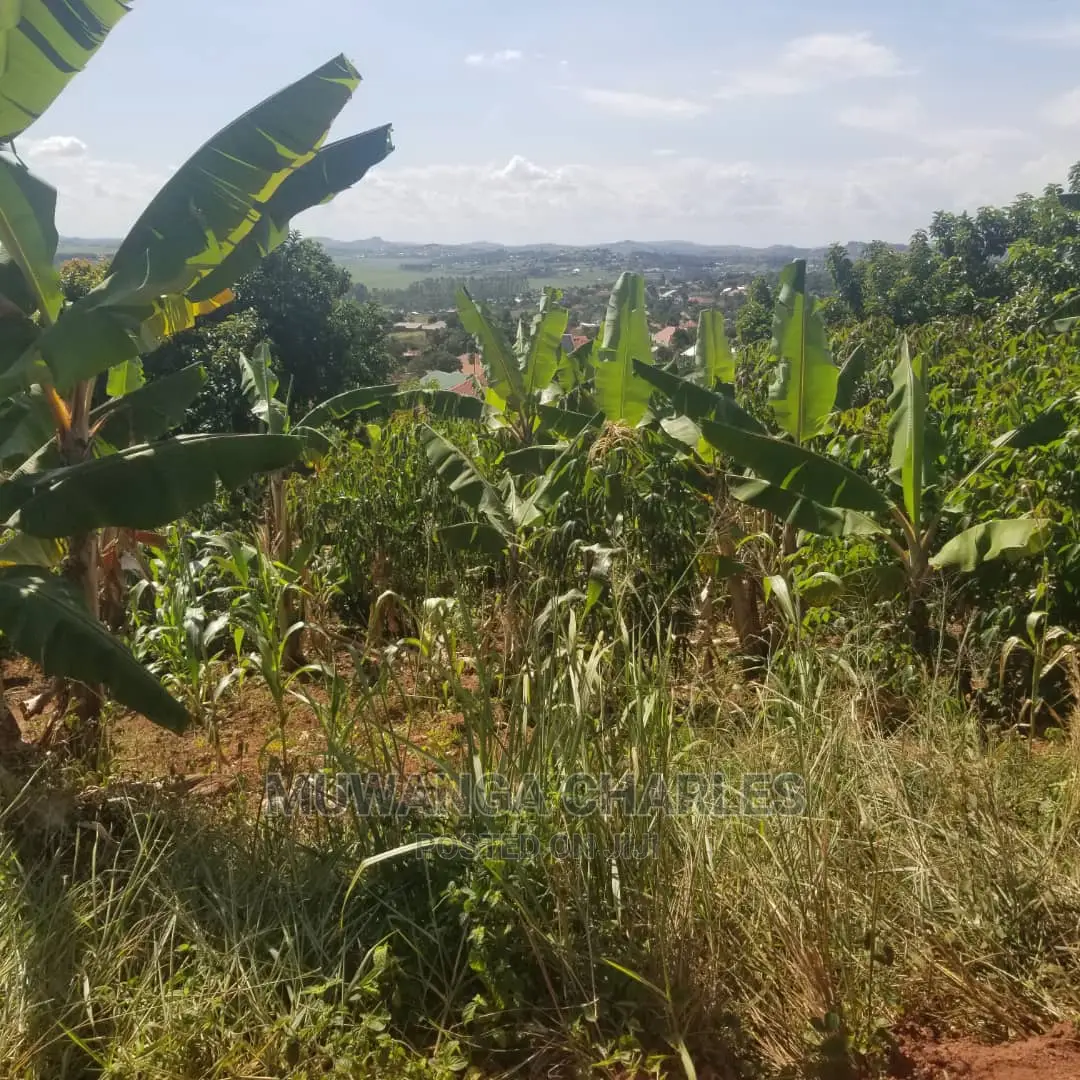 12decimals Plot of Land on Quick Sale at Kira