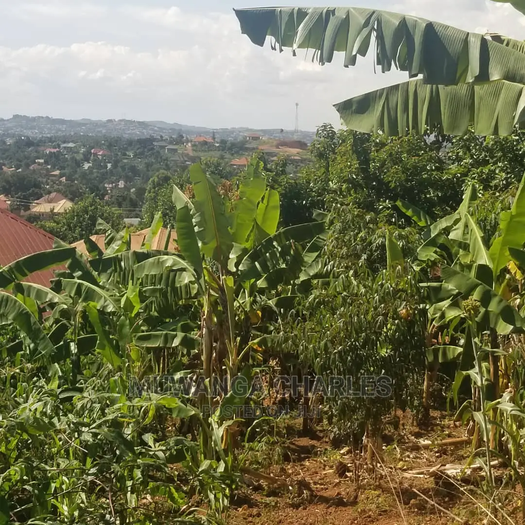 12decimals Plot of Land on Quick Sale at Kira