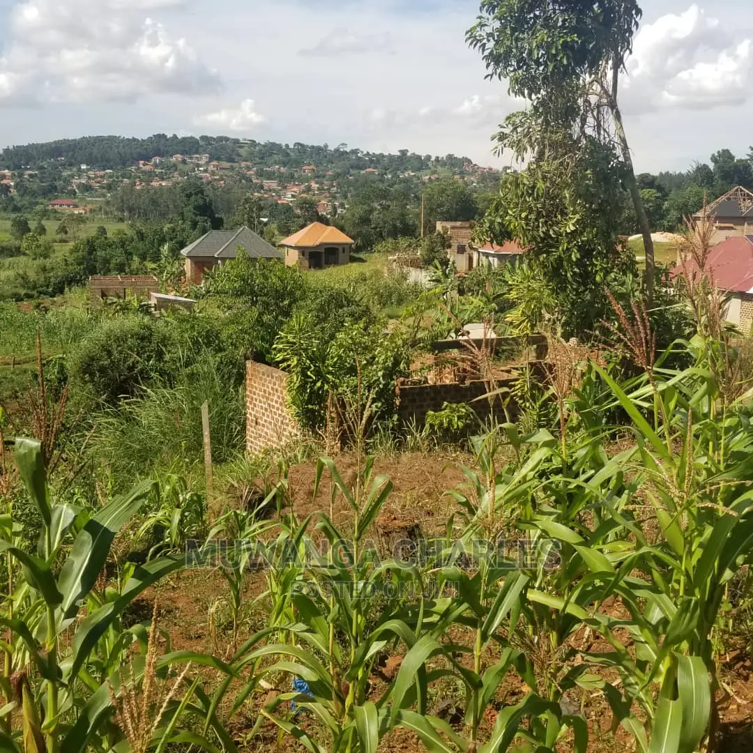 Plots in Gayaza Busika on Quick Sale