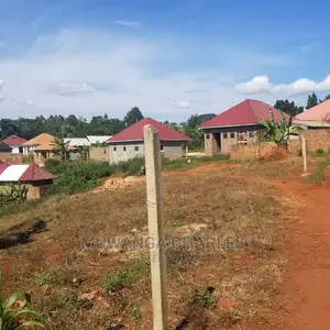Plot's in Bugema Kalungu on Quick Sale