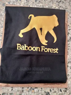 All Types of Branding Like Shirts ,Posters ,Banners ,Flyers Etc