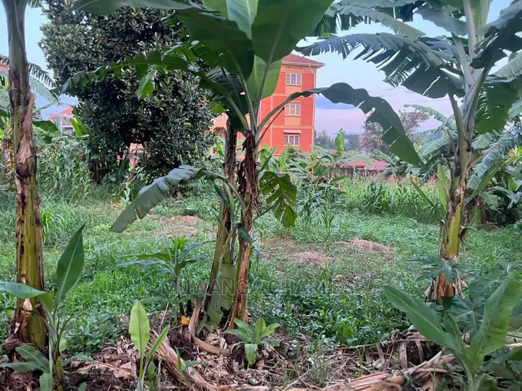 Plot in Kyanja Kungu on Sale