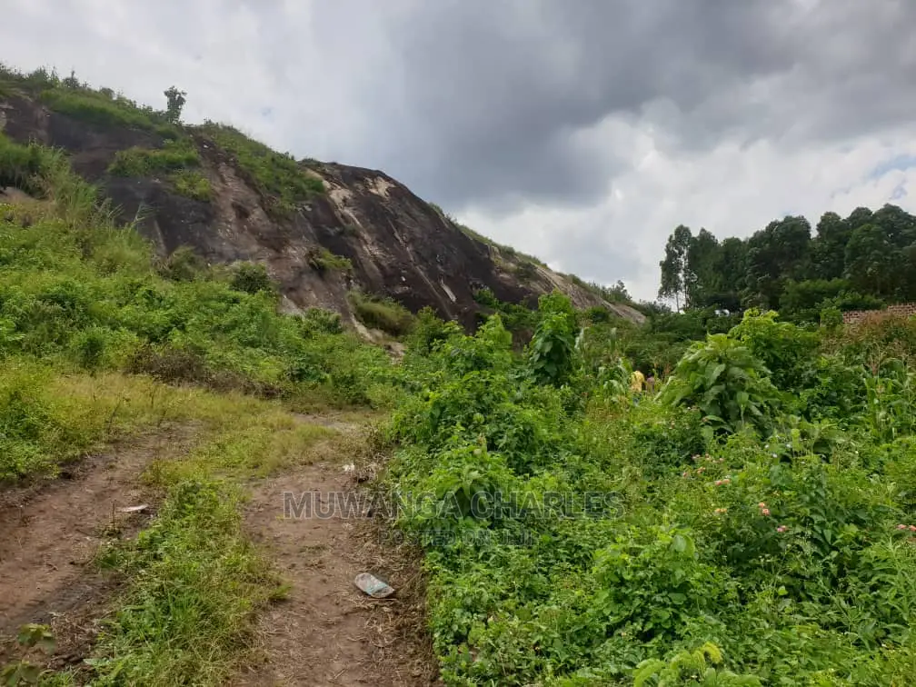 Stone 🪨 Quarry in Mukono on Quick Sale