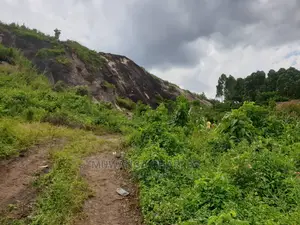 Stone 🪨 Quarry in Mukono on Quick Sale