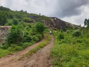Stone 🪨 Quarry in Mukono on Quick Sale