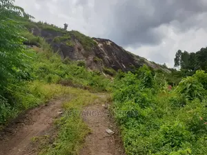 Stone 🪨 Quarry in Mukono on Quick Sale