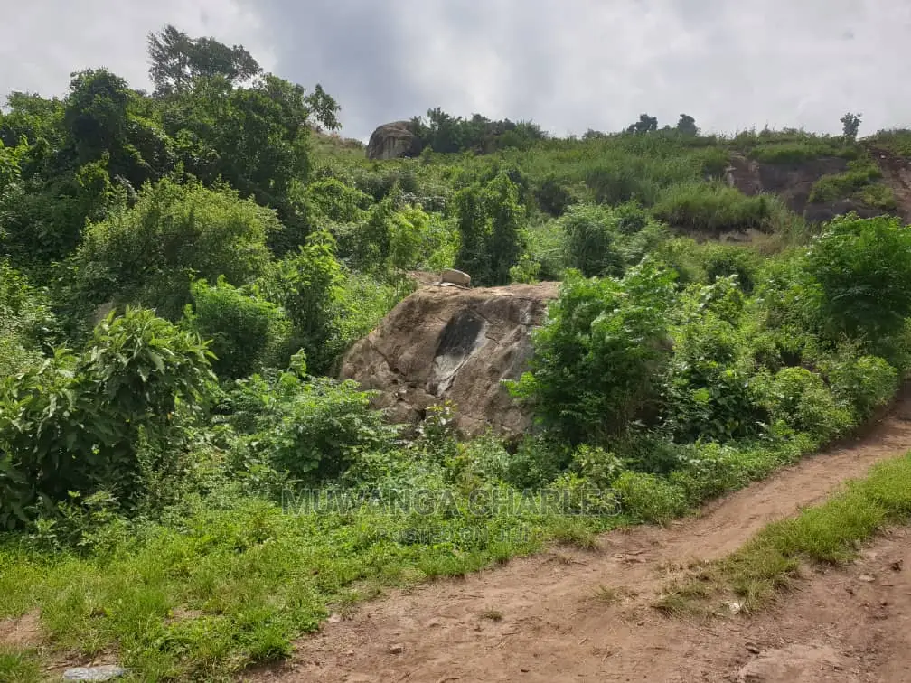 Stone 🪨 Quarry in Mukono on Quick Sale