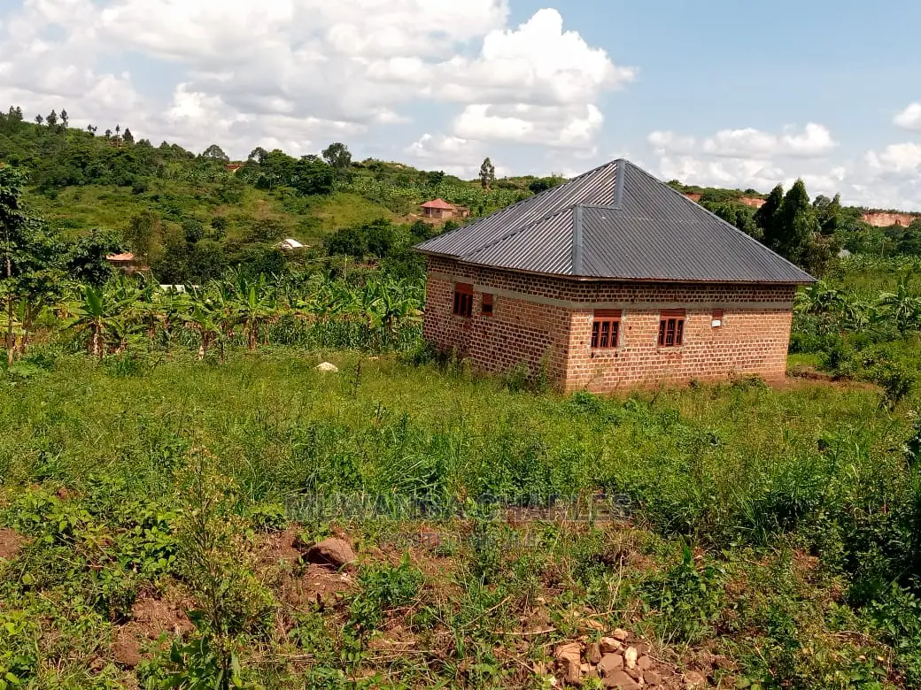 Plot's in Busiika on Quick Sale