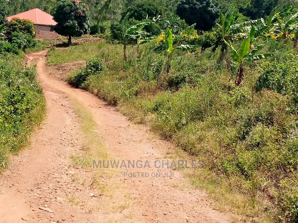 Plot's in Busiika on Quick Sale