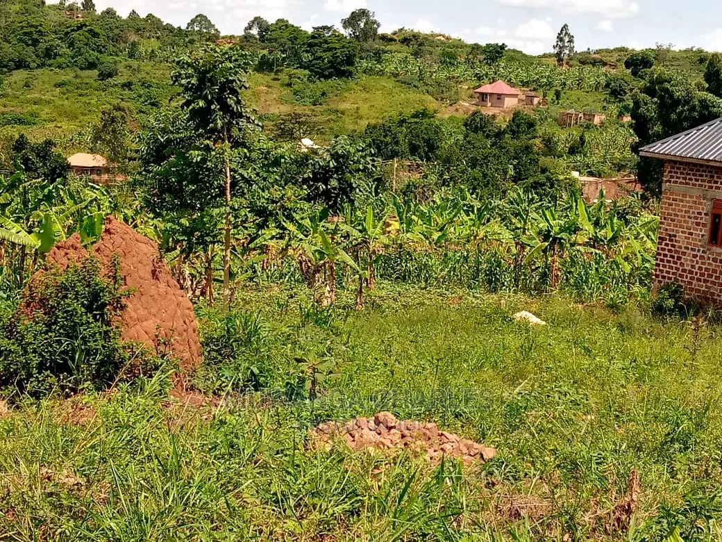 Plot's in Busiika on Quick Sale