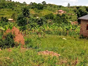 Plot's in Busiika on Quick Sale