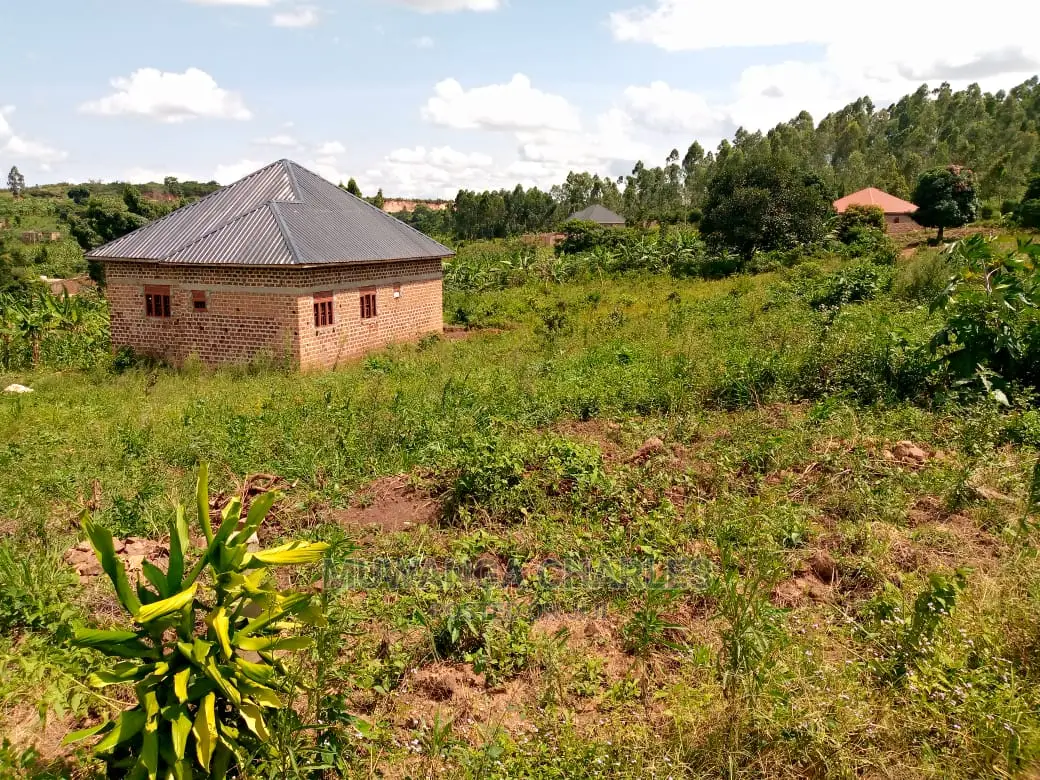 Plot's in Busiika on Quick Sale