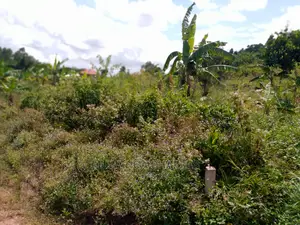 Plot's in Busiika on Quick Sale