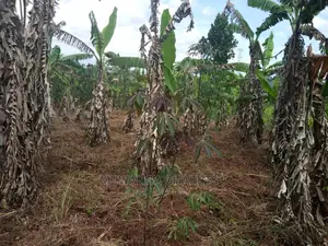 Plots in Gayaza Kalungu
