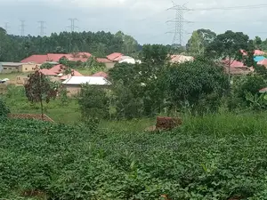 Plots in Gayaza Kalungu