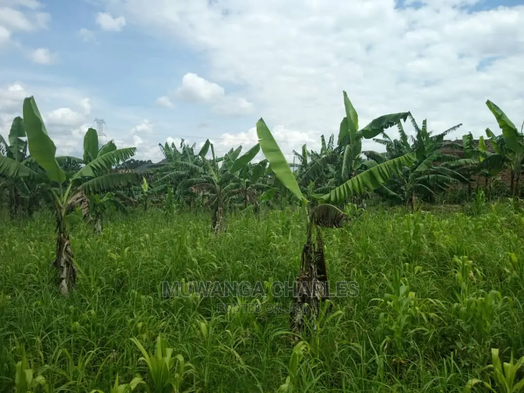 Plots in Gayaza Kalungu