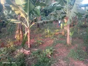 Plots in Kisasi Ssebagala Road on Quick Sale