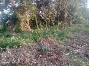 Plots in Kisasi Ssebagala Road on Quick Sale