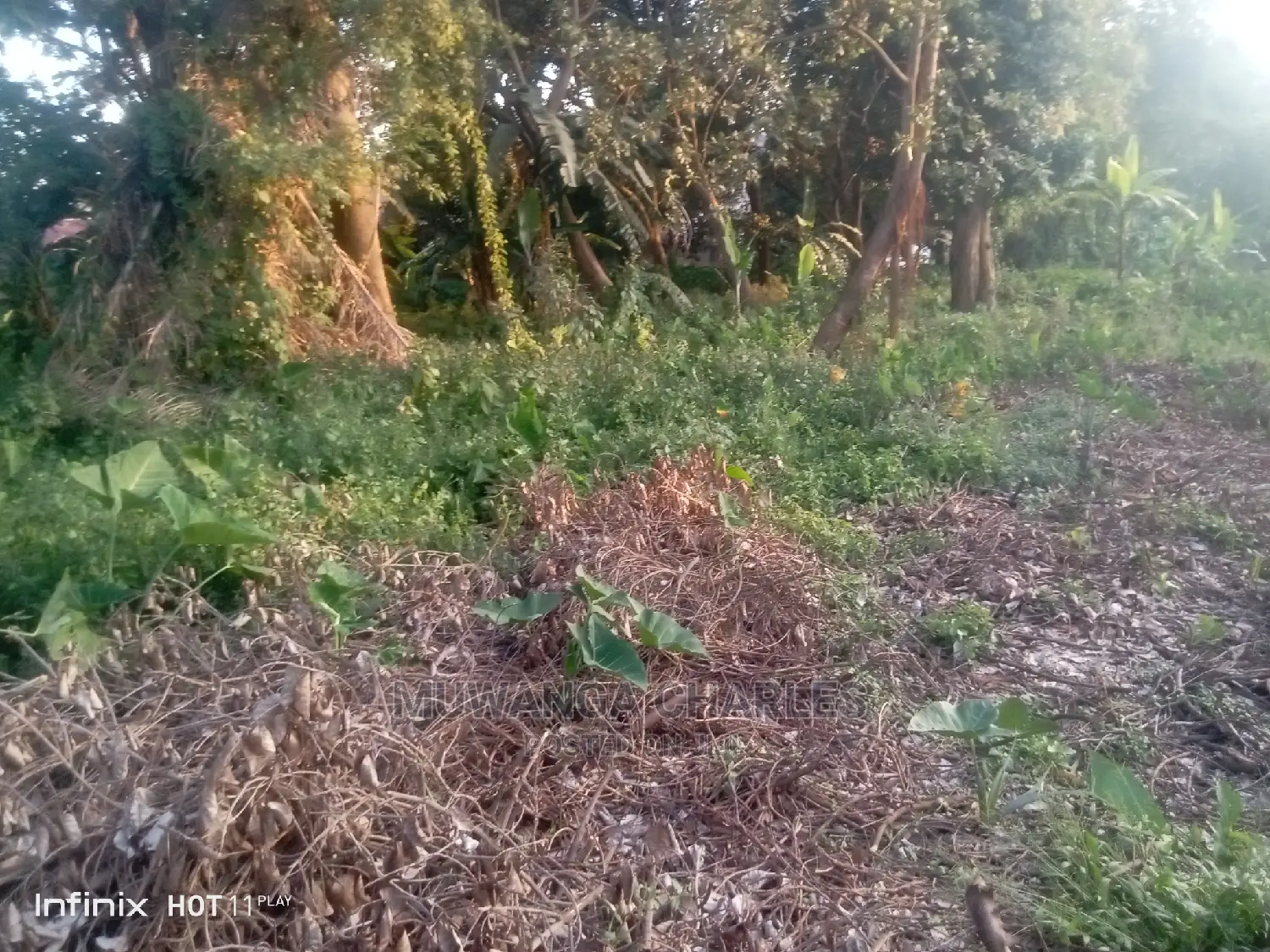 Plots in Kisasi Ssebagala Road on Quick Sale