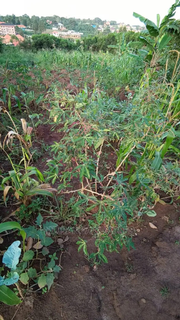 Plot in Kisasi Baha'i Road on Quick Sale