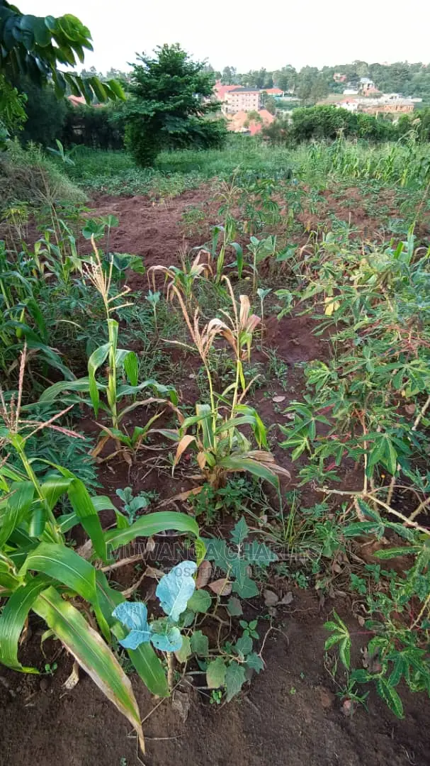 Plot in Kisasi Baha'i Road on Quick Sale