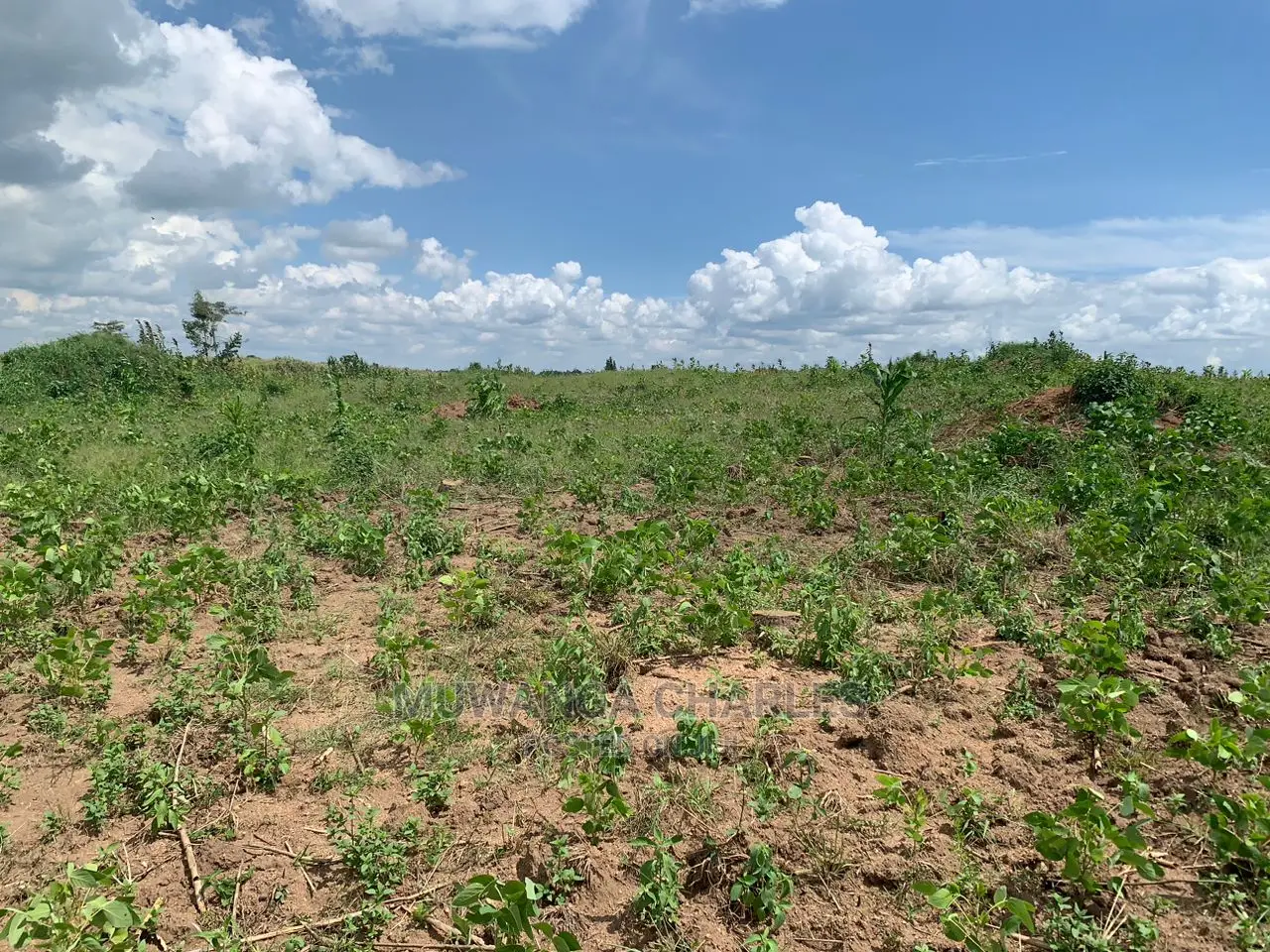 Plots in Kira on Quick Sale