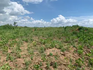 Plots in Kira on Quick Sale