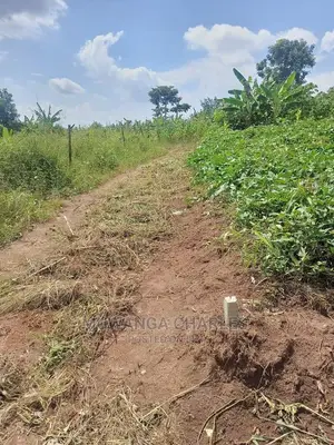 20acres of Land in Luwero on Quick Sale