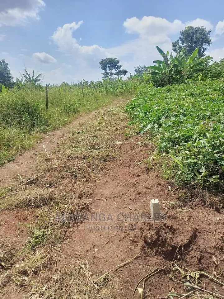 20acres of Land in Luwero on Quick Sale