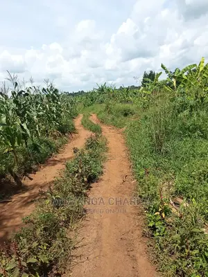 20acres of Land in Luwero on Quick Sale