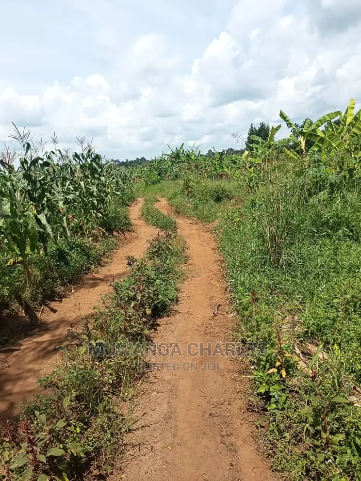 20acres of Land in Luwero on Quick Sale