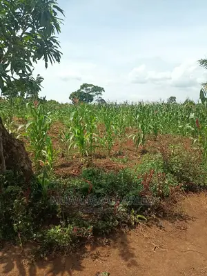 20acres of Land in Luwero on Quick Sale