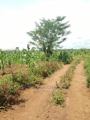 20acres of Land in Luwero on Quick Sale