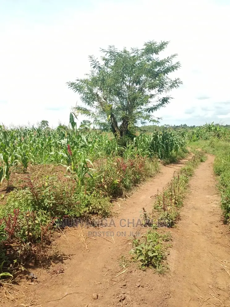 20acres of Land in Luwero on Quick Sale