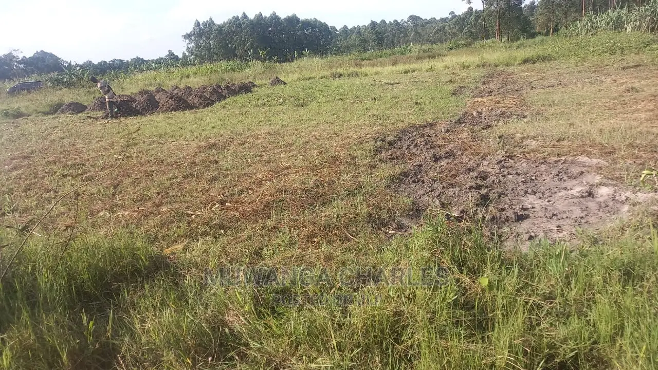 20acres of Land in Luwero on Quick Sale