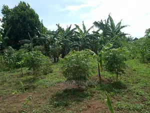 4acres of Land in Zirobwe Tongo on Quick Sale