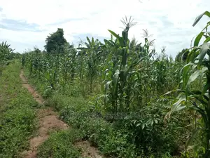 4acres of Land in Zirobwe Tongo on Quick Sale