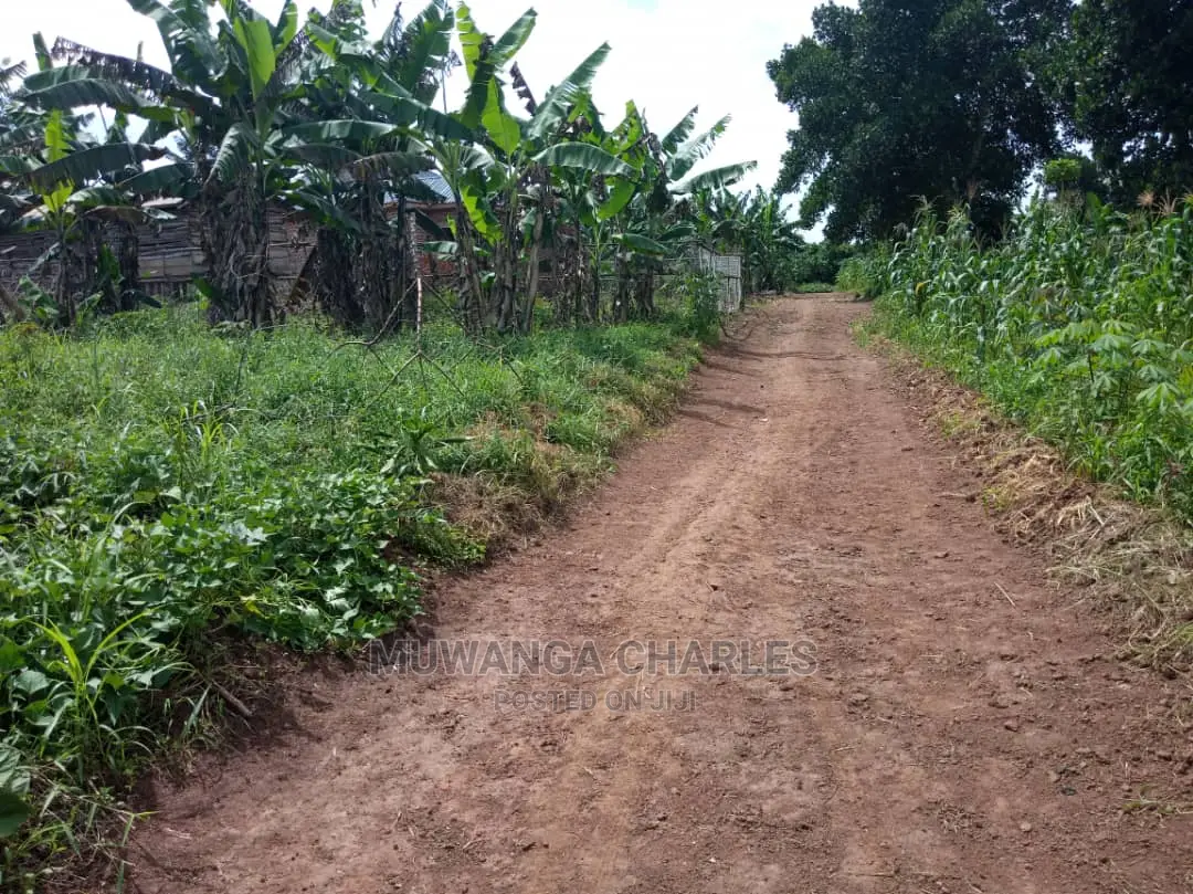 4acres of Land in Zirobwe Tongo on Quick Sale