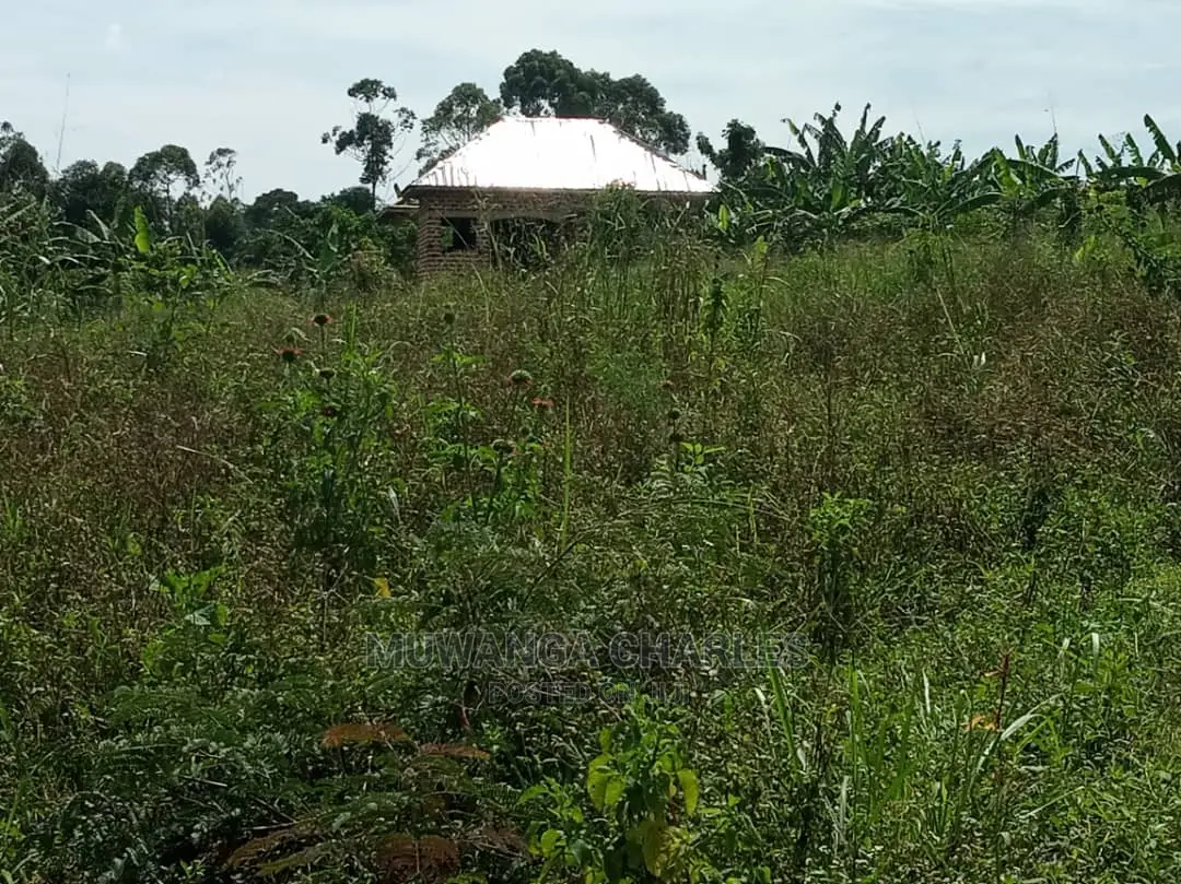 4acres of Land in Zirobwe Tongo on Quick Sale