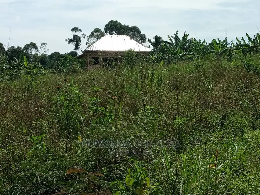 4acres of Land in Zirobwe Tongo on Quick Sale