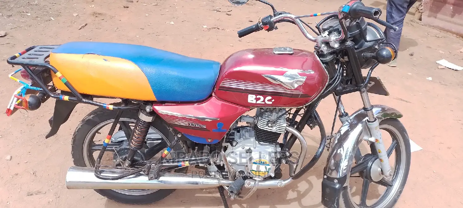 New Bajaj Avenger 200 2023 Purple