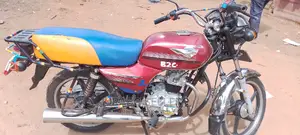 New Bajaj Avenger 200 2023 Purple